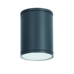 E27 PAR30  ROUND CEILING LUMINAIRE 230V AC DARK GREY IP65 MAX.35W