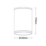 E27 PAR30  ROUND CEILING LUMINAIRE 230V AC MATT WHITE IP65 MAX.35W - Image 2